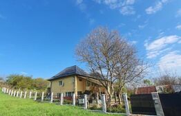 Casa 4 camere 120 mp, 10 ari teren, sat Raciu