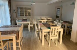 Pensiune noua la baza Partiei din Toplița, Harghita – Oportunitate Unica 