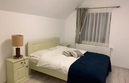 Pensiune noua la baza Partiei din Toplița, Harghita – Oportunitate Unica 