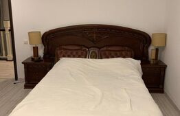 Pensiune noua la baza Partiei din Toplița, Harghita – Oportunitate Unica 