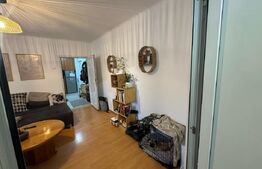 Apartament , 2 camere, 46mp, zona semicentrala - Nicolae Balcescu