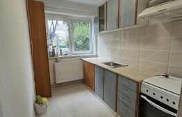 Apartament , 2 camere, 46mp, zona semicentrala - Nicolae Balcescu