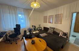 Apartament , 2 camere, 46mp, zona semicentrala - Nicolae Balcescu