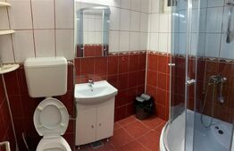 Apartament, 2 camere, aleea Carpati