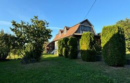 Casa in Aluniș, 10.000 mp de teren, cu vie si livada, vedere panoramica