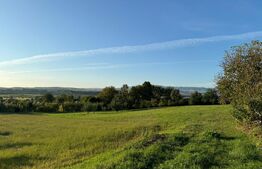 Casa in Aluniș, 10.000 mp de teren, cu vie si livada, vedere panoramica
