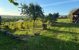 Casa in Aluniș, 10.000 mp de teren, cu vie si livada, vedere panoramica