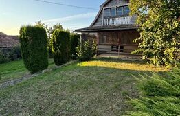 Casa in Aluniș, 10.000 mp de teren, cu vie si livada, vedere panoramica