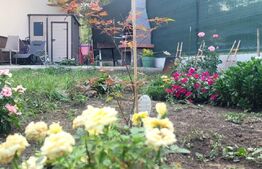 Duplex Sancraiu de Mures