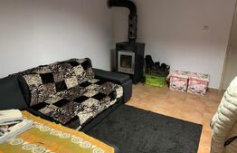 Cabana 6 camere, 210 mp utili, 840 mp teren, Salard