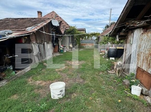 Casa de vânzare 3 camere Sântana de Mureș - 158164CV | BLITZ Târgu Mureș | Poza4