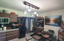 Casa superba cu 4 camere, Unirii