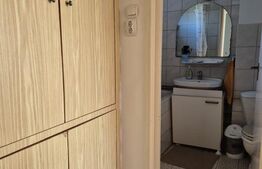 Apartament cu 2 camere, Aleea Carpati, etaj intermediar