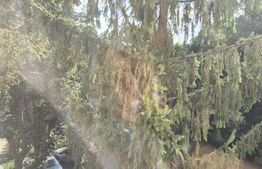 Apartament cu 2 camere, Aleea Carpati, etaj intermediar