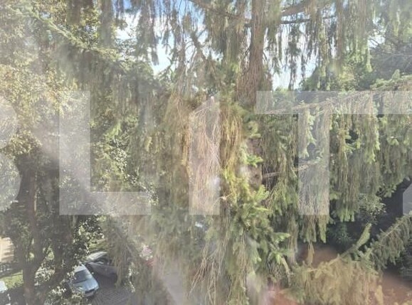 Apartament de vânzare 2 camere Aleea Carpati - 158533AV | BLITZ Târgu Mureș | Poza4