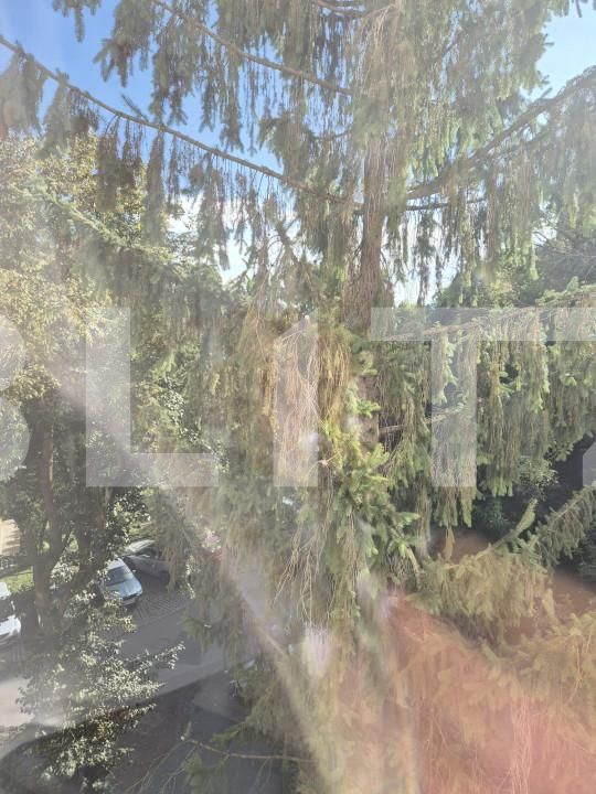 Apartament de vânzare 2 camere Aleea Carpati - 158533AV | BLITZ Târgu Mureș | Poza4