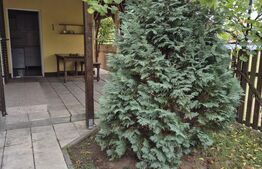 Vila, doua dormitoare