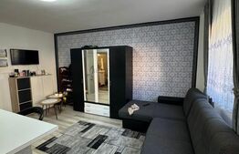 Garsoniera de vanzare in Mureseni 