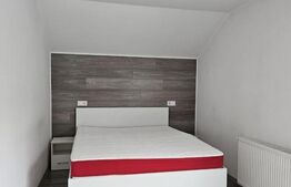 Duplex, zona Remetea - Unirii