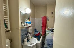 Apartament cu 1 camera decomandat, cartier Dambu