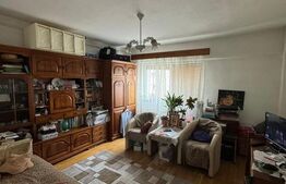 Apartament cu 1 camera decomandat, cartier Dambu