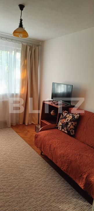Apartament de vânzare 2 camere Aleea Carpati - 159333AV | BLITZ Târgu Mureș | Poza12