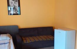 2 CASE DE VACANTA + 3 CABANUTE , STATIUNEA SOVATA