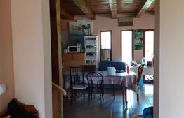 2 CASE DE VACANTA + 3 CABANUTE , STATIUNEA SOVATA