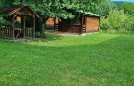 2 CASE DE VACANTA + 3 CABANUTE , STATIUNEA SOVATA