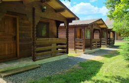 2 CASE DE VACANTA + 3 CABANUTE , STATIUNEA SOVATA