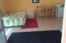 2 CASE DE VACANTA + 3 CABANUTE , STATIUNEA SOVATA