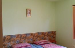 2 CASE DE VACANTA + 3 CABANUTE , STATIUNEA SOVATA