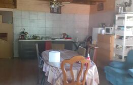 2 CASE DE VACANTA + 3 CABANUTE , STATIUNEA SOVATA