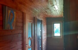 2 CASE DE VACANTA + 3 CABANUTE , STATIUNEA SOVATA