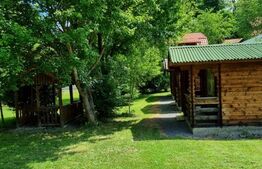 2 CASE DE VACANTA + 3 CABANUTE , STATIUNEA SOVATA