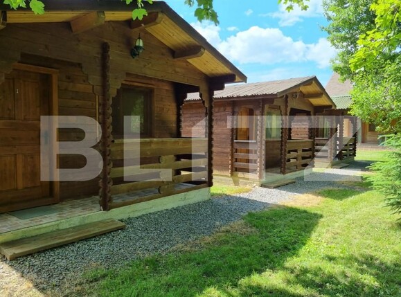 Casa de vânzare 14 camere Sovata - 159483CV | BLITZ Târgu Mureș | Poza6