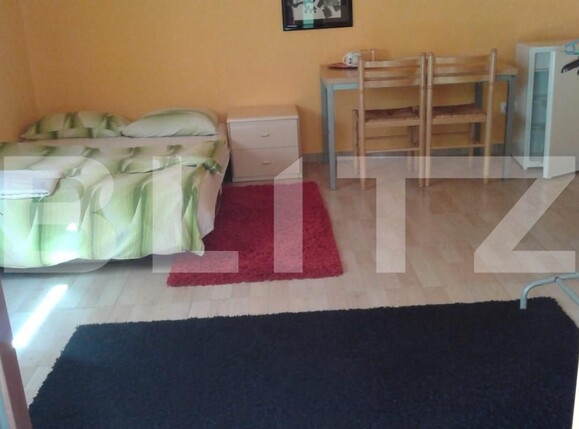 Casa de vânzare 14 camere Sovata - 159483CV | BLITZ Târgu Mureș | Poza15