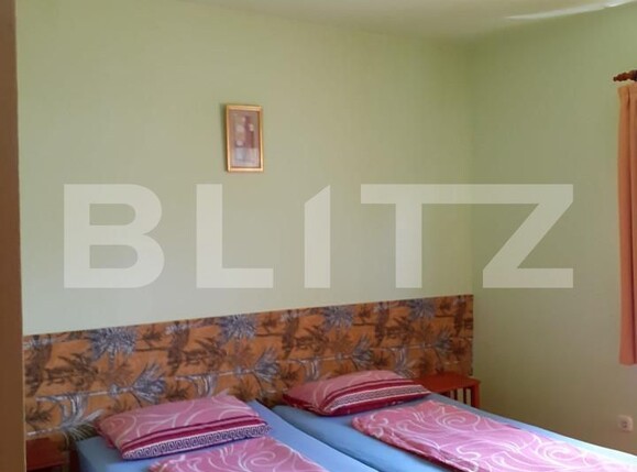 Casa de vânzare 14 camere Sovata - 159483CV | BLITZ Târgu Mureș | Poza10