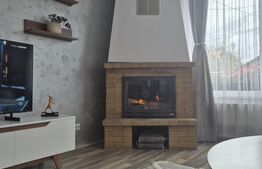 Redecere de pret! Casa superba de vanzare in Ungheni