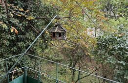 Apartament de inchiriat cu 2 camere, Cornisa