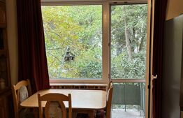 Apartament de inchiriat cu 2 camere, Cornisa