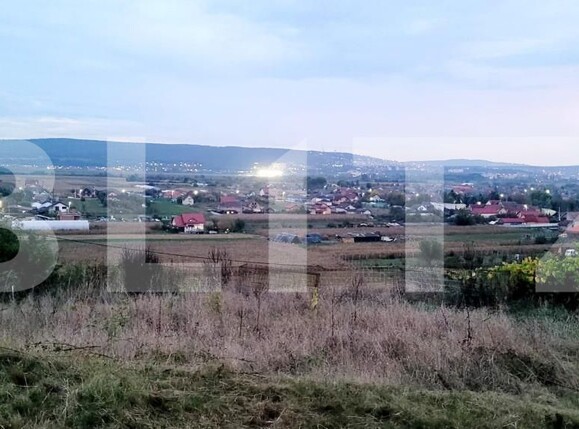 Teren de vânzare Sântana de Mureș - 159682TV | BLITZ Târgu Mureș | Poza3