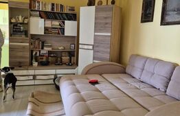 Casa superba cu 11 ari teren