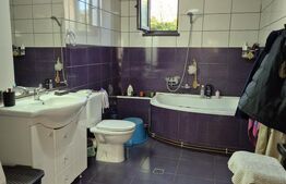 Casa superba cu 11 ari teren