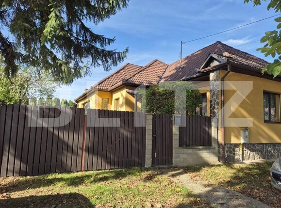 Casa de vânzare 3 camere Nazna - 159689CV | BLITZ Târgu Mureș | Poza18