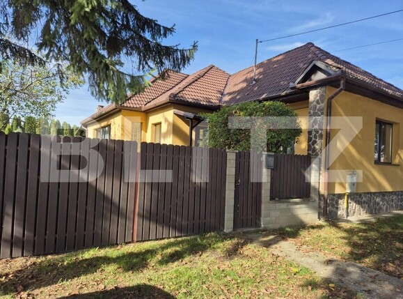 Casa de vânzare 3 camere Nazna - 159689CV | BLITZ Târgu Mureș | Poza14