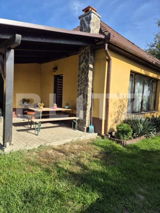 Casa de vânzare 3 camere Nazna - 159689CV | BLITZ Târgu Mureș | Poza22