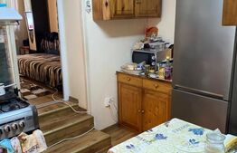 Casa 1 camera, Central