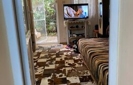 Casa 1 camera, Central