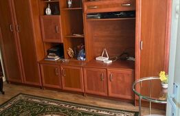 Casa 1 camera, Central